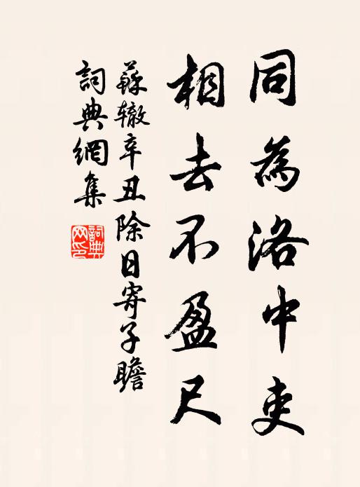 苏辙同为洛中吏，相去不盈尺书法作品欣赏