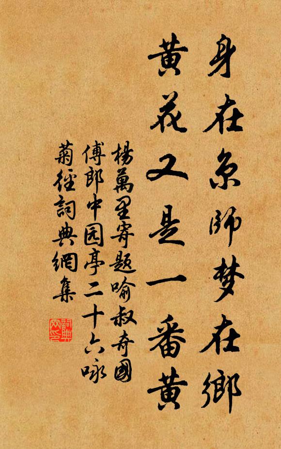 杨万里身在京师梦在乡，黄花又是一番黄书法作品欣赏