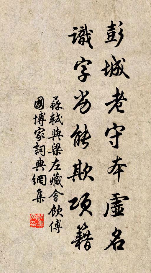 苏轼彭城老守本虚名，识字劣能欺项籍书法作品欣赏