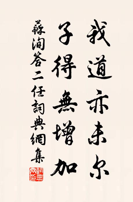 苏洵我道亦未尔，子得无增加书法作品欣赏