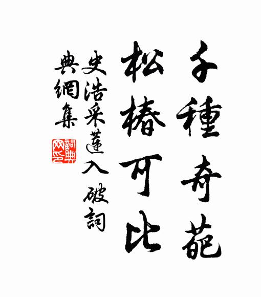 史浩千种奇葩，松椿可比书法作品欣赏