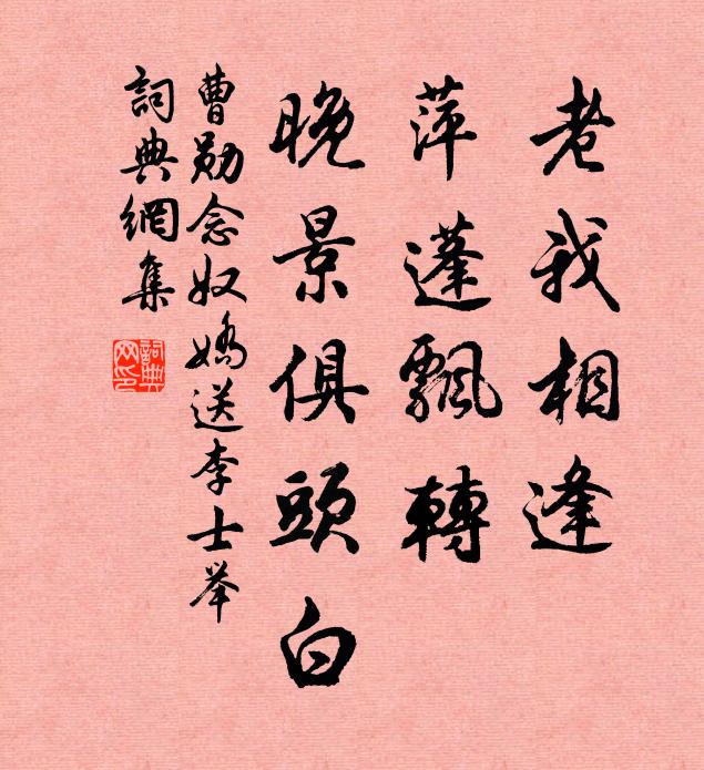 曹勋老我相逢，萍蓬飘转，晚景俱头白书法作品欣赏