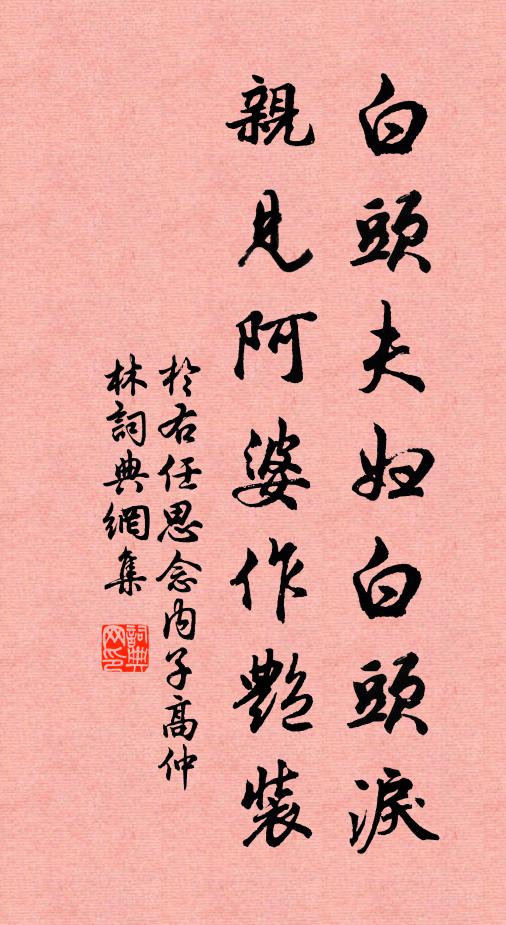 于右任白头夫妇白头泪，亲见阿婆作艳装书法作品欣赏