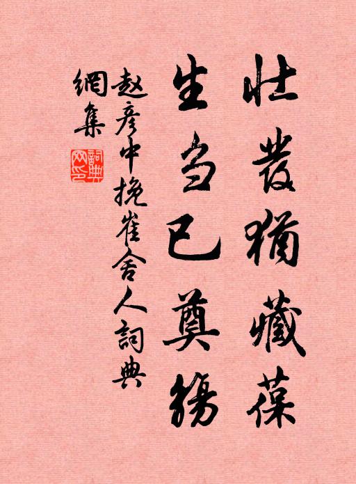 赵彦中壮发犹藏葆，生刍已奠觞书法作品欣赏