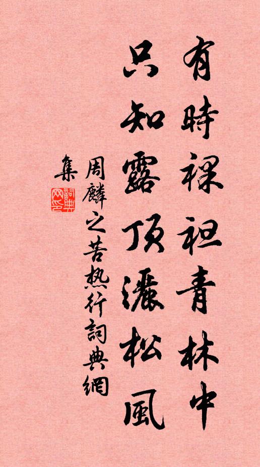周麟之有时裸袒青林中，只知露顶洒松风书法作品欣赏