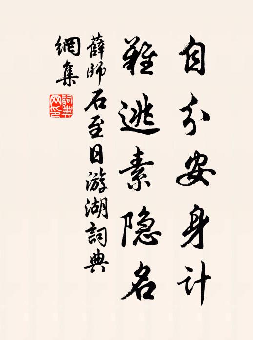 薛师石自分安身计，难逃素隐名书法作品欣赏