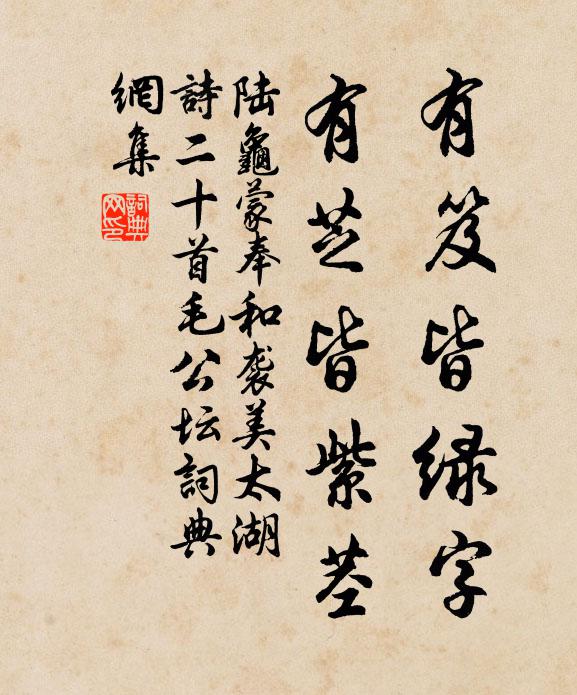 陆龟蒙有笈皆绿字，有芝皆紫茎书法作品欣赏