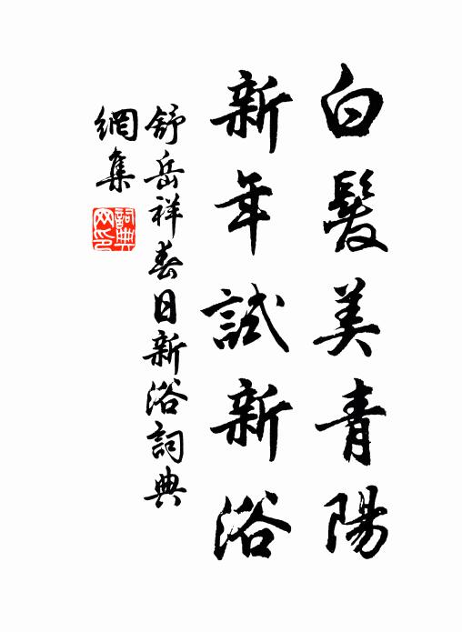 舒岳祥白发美青阳，新年试新浴书法作品欣赏