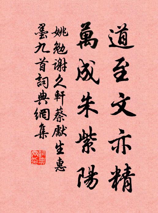 姚勉道至文亦精，万成朱紫阳书法作品欣赏