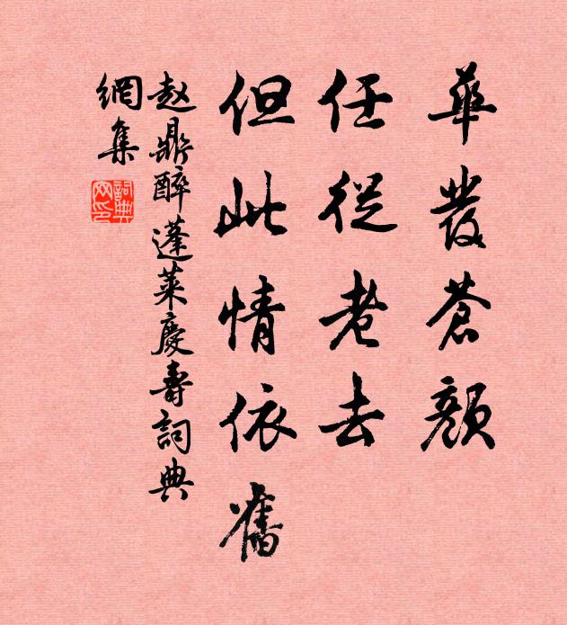 赵鼎华发苍颜，任从老去，但此情依旧书法作品欣赏