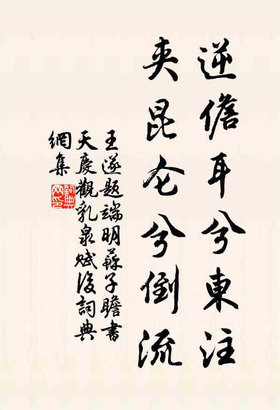 王遂逆儋耳兮东注，夹昆仑兮倒流书法作品欣赏