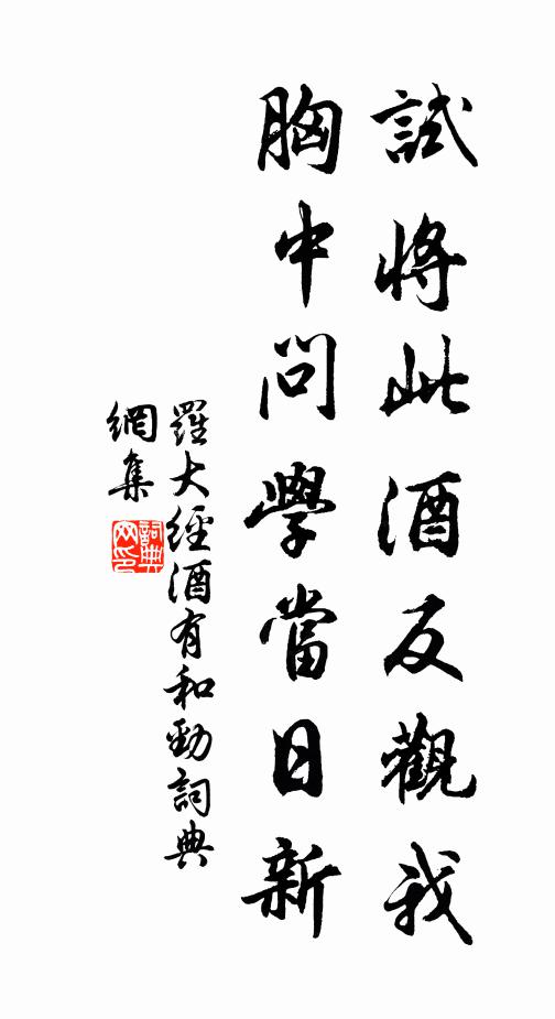 罗大经试将此酒反观我，胸中问学当日新书法作品欣赏