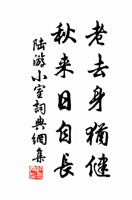 陆游老去身犹健，秋来日自长书法作品欣赏