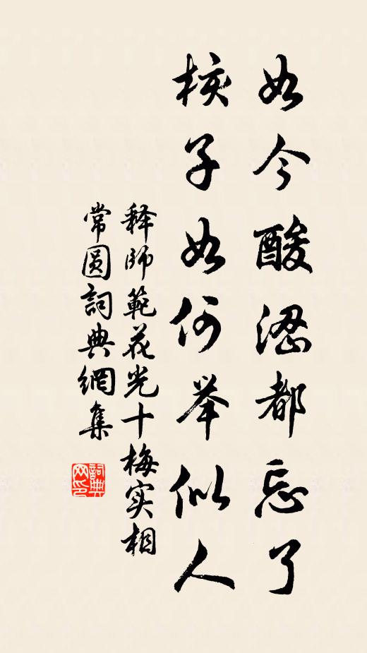 释师范如今酸涩都忘了，核子如何举似人书法作品欣赏