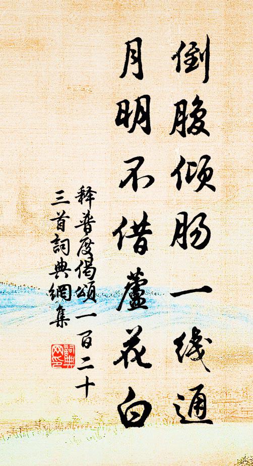释普度倒腹倾肠一线通，月明不借芦花白书法作品欣赏
