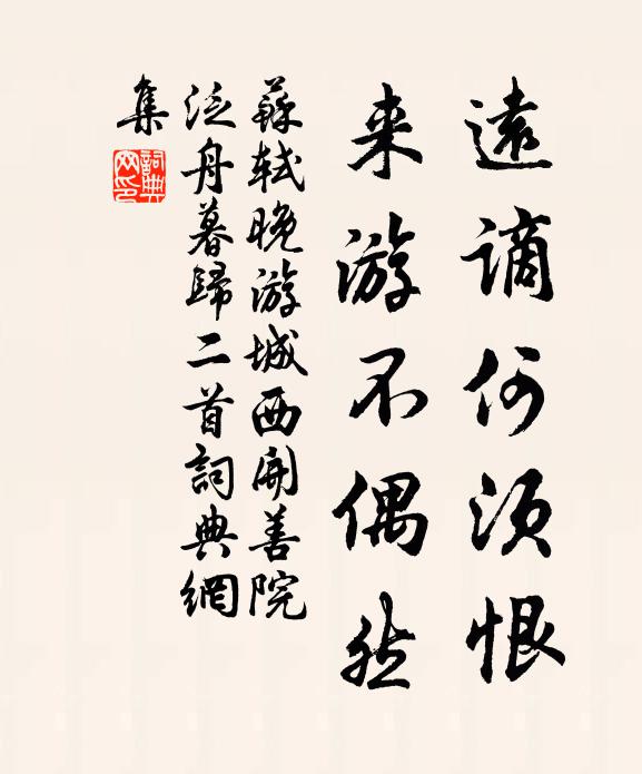 苏轼远谪何须恨，来游不偶然书法作品欣赏