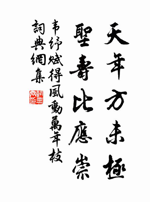 韦纾天年方未极，圣寿比应崇书法作品欣赏