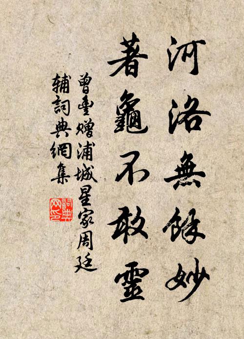 曾丰河洛无余妙，著龟不敢灵书法作品欣赏