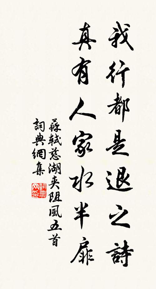 苏轼我行都是退之诗，真有人家水半扉书法作品欣赏