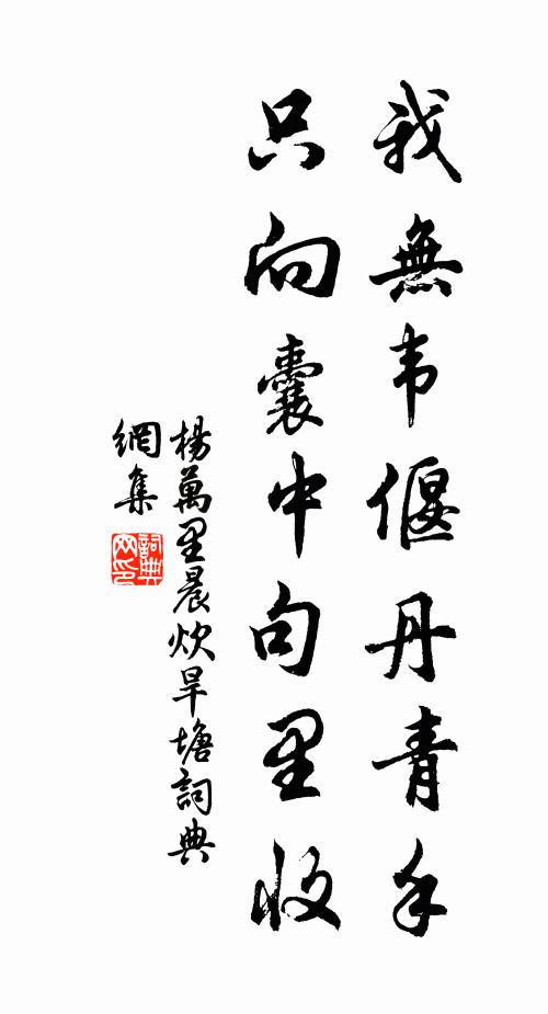 杨万里我无韦偃丹青手，只向囊中句里收书法作品欣赏