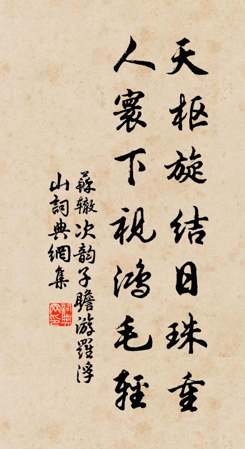 苏辙天枢旋结日珠重，人寰下视鸿毛轻书法作品欣赏