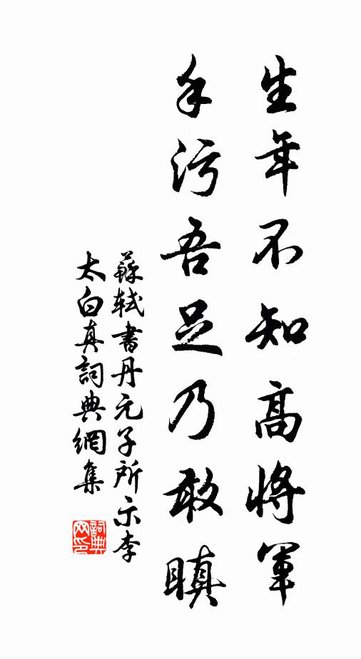 苏轼生年不知高将军，手污吾足乃敢瞋书法作品欣赏