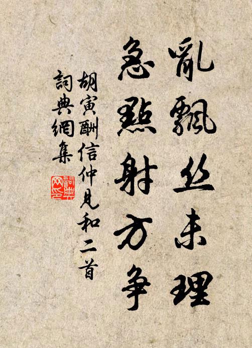 胡寅乱飘丝未理，急点射方争书法作品欣赏