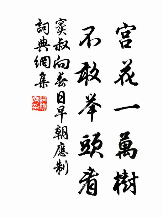 窦叔向宫花一万树，不敢举头看书法作品欣赏