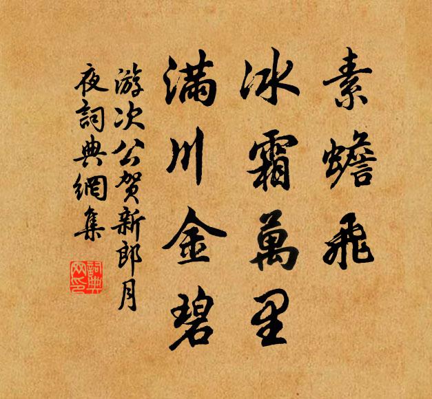 游次公素蟾飞、冰霜万里，满川金碧书法作品欣赏