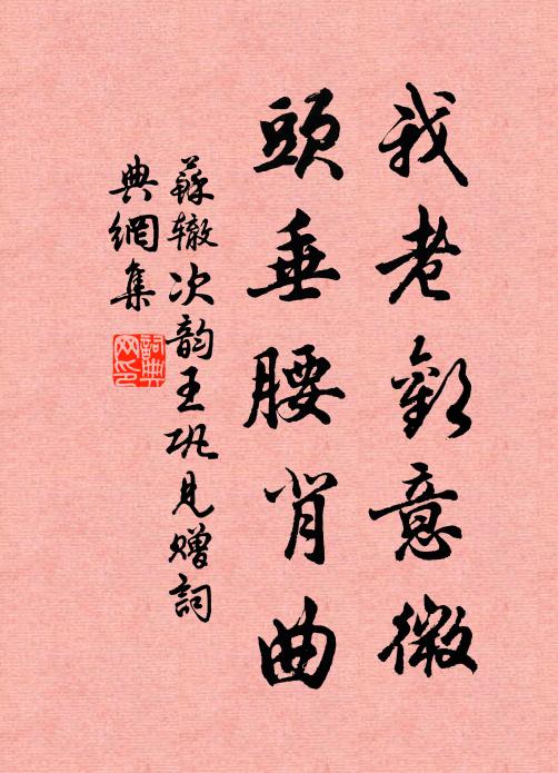 苏辙我老欢意微，头垂腰背曲书法作品欣赏