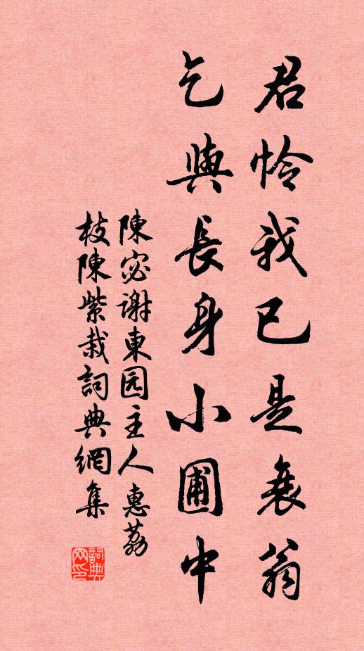 陈宓君怜我已是衰翁，乞与长身小圃中书法作品欣赏