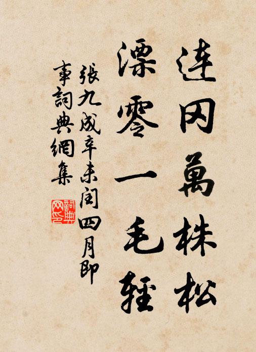 张九成连冈万株松，漂零一毛轻书法作品欣赏