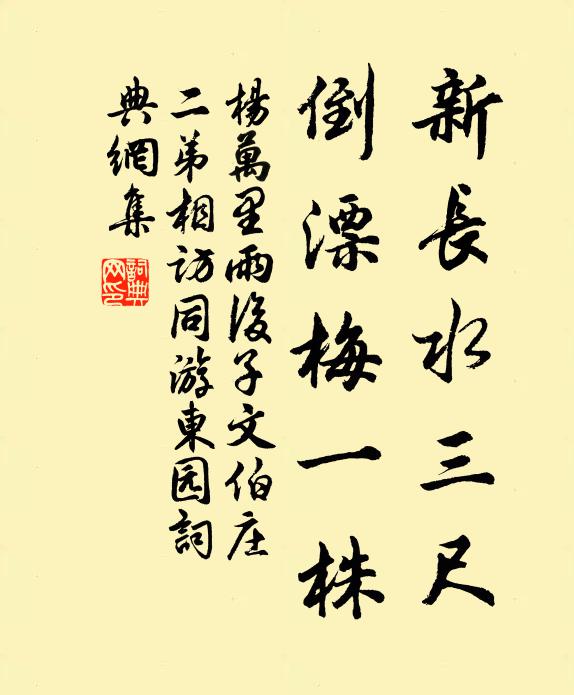 杨万里新长水三尺，倒漂梅一株书法作品欣赏
