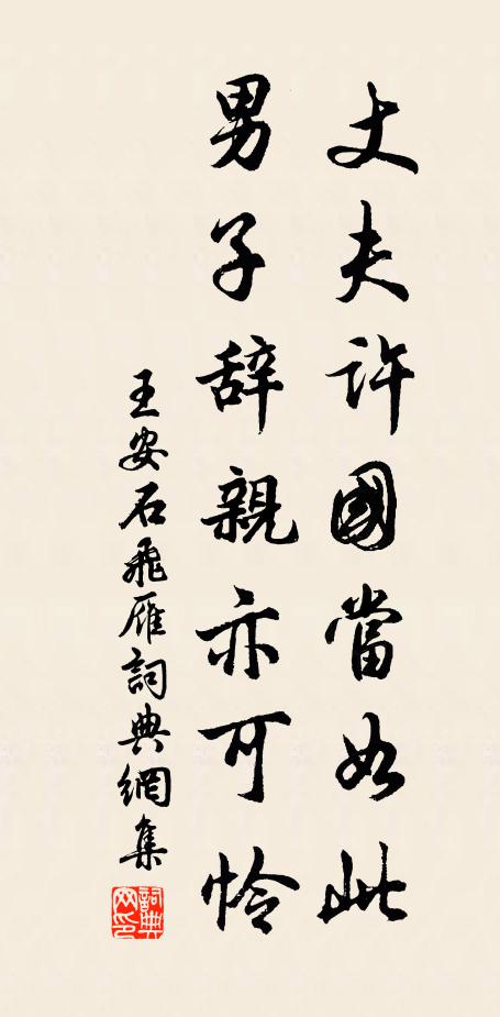 王安石丈夫许国当如此，男子辞亲亦可怜书法作品欣赏