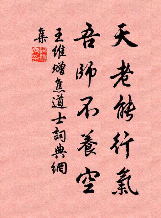 王维天老能行气，吾师不养空书法作品欣赏