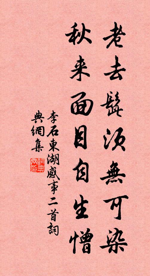 李石老去髭须无可染，秋来面目自生憎书法作品欣赏