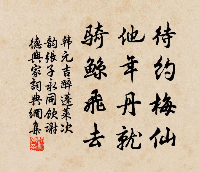 韩元吉待约梅仙，他年丹就，骑鲸飞去书法作品欣赏