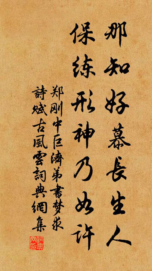 郑刚中那知好慕长生人，保练形神乃如许书法作品欣赏