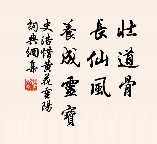 史浩壮道骨，长仙风，养成灵宝书法作品欣赏