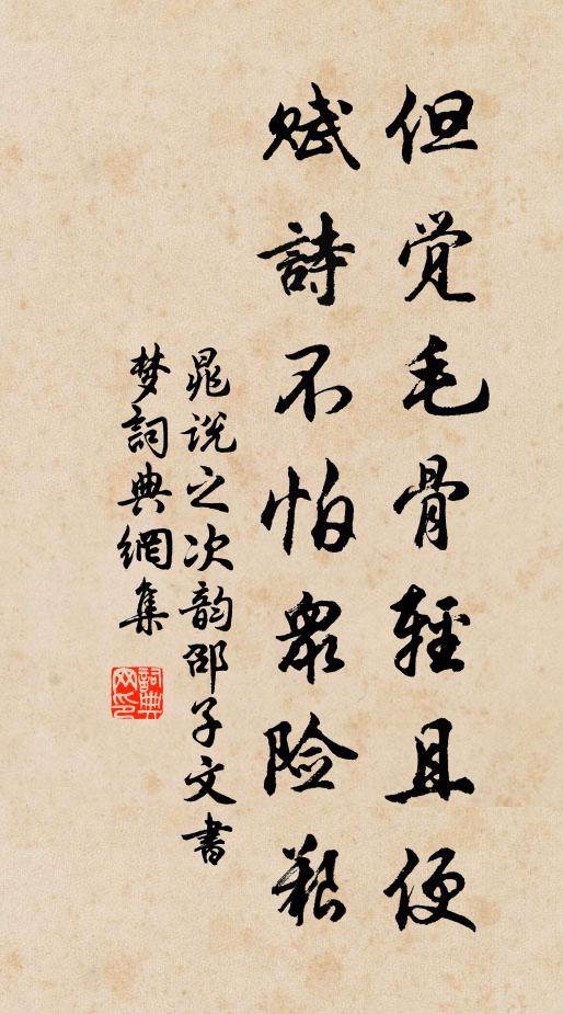 晁说之但觉毛骨轻且便，赋诗不怕众险艰书法作品欣赏