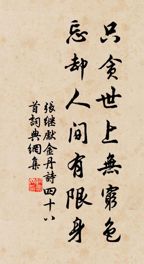 张继先只贪世上无穷色，忘却人间有限身书法作品欣赏