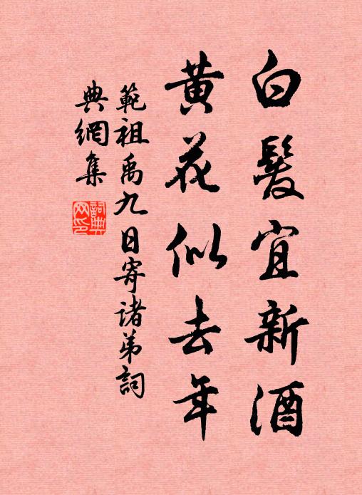 范祖禹白发宜新酒，黄花似去年书法作品欣赏