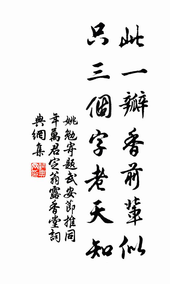 姚勉此一瓣香前辈似，只三个字老天知书法作品欣赏