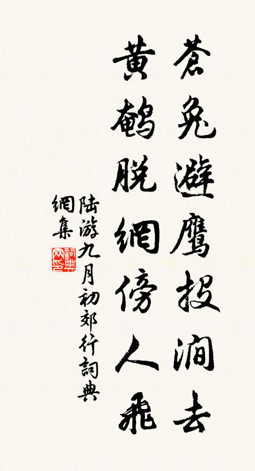 陆游苍兔避鹰投涧去，黄鹌脱网傍人飞书法作品欣赏