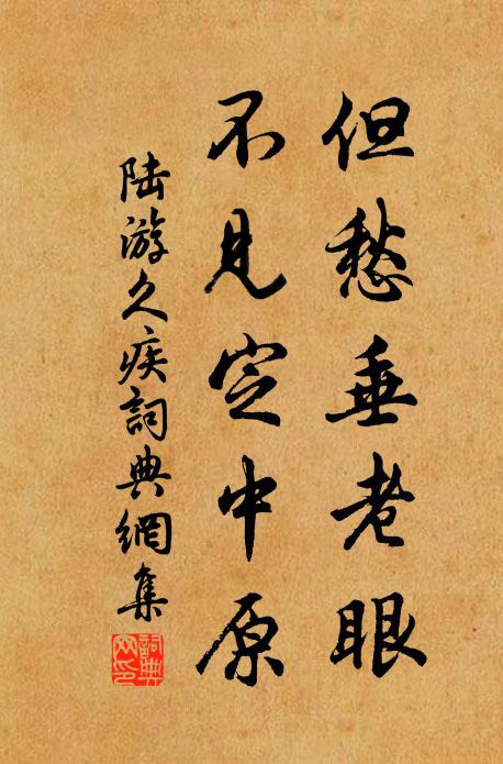 陆游但愁垂老眼，不见定中原书法作品欣赏