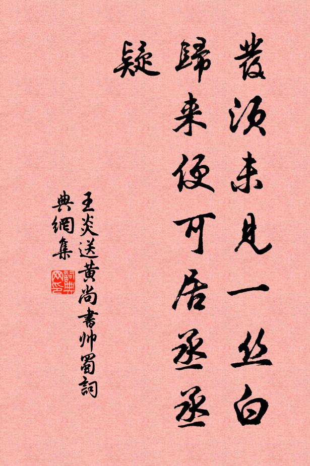 王炎发须未见一丝白，归来便可居丞丞疑书法作品欣赏