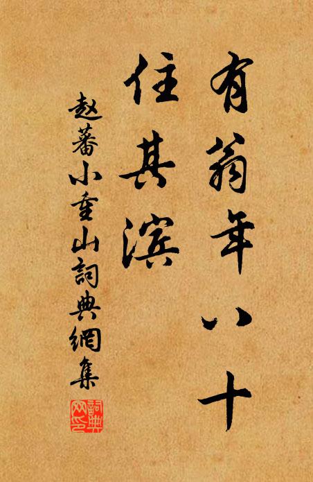 赵蕃有翁年八十，住其滨书法作品欣赏