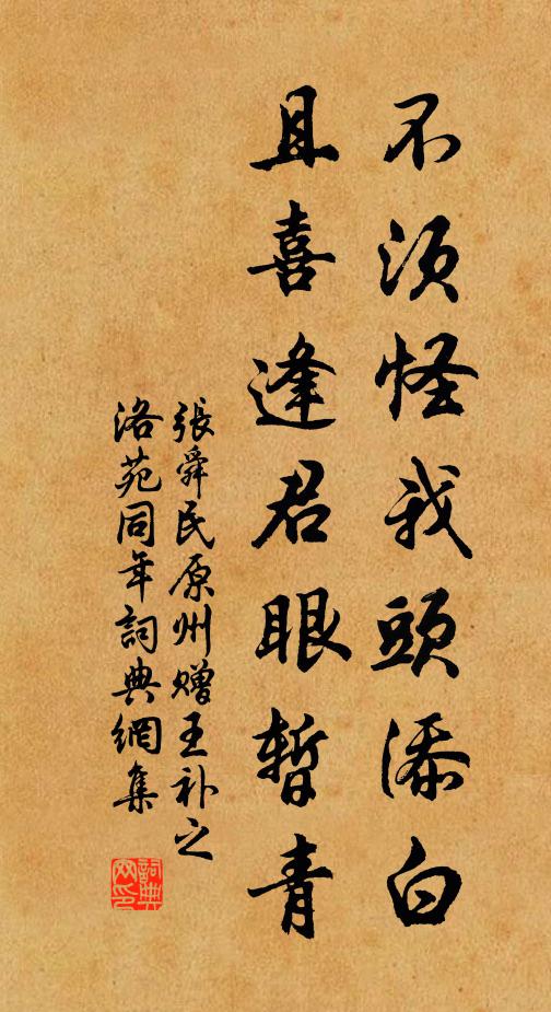 张舜民不须怪我头添白，且喜逢君眼暂青书法作品欣赏