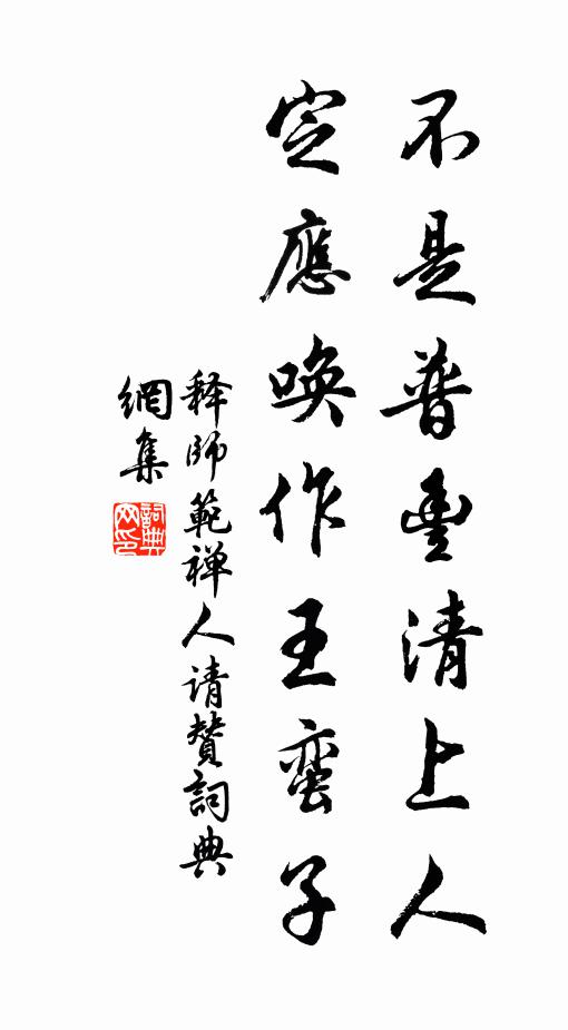 释师范不是普丰清上人，定应唤作王蛮子书法作品欣赏