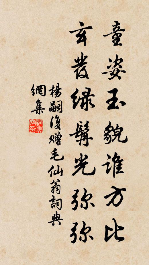 杨嗣复童姿玉貌谁方比，玄发绿髯光弥弥书法作品欣赏